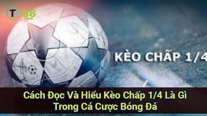 Kèo Chấp 1/4 là gì? Giải thích chi tiết 6 cach-doc-va-hieu-keo-chap-1-4-la-gi-trong-ca-cuoc-bong-da